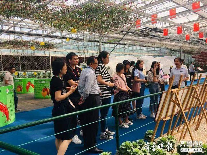 图片加载失败